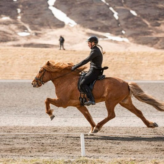 WR Hólamótinu lokið