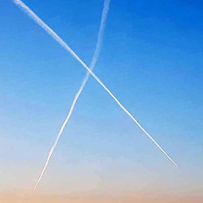 Hvar skal setja eggsið? MYND: FRÍÐA E