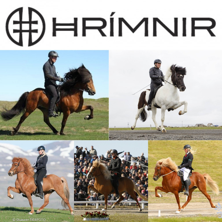 Mynd: Eins og sjá má eru þarna á ferðinni úrvalsknapar sem munu gera allt sem í þeirra valdi stendur til að vinna liðakeppnina þriðja árið í röð. Mynd: KS deildin.