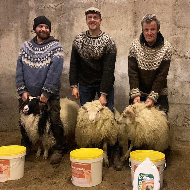 Myndatexti: Lengst til vinstri er Pálmi Gunnarsson á Akri, í miðið er Birgir Haraldsson á Kornsá og lengst til hægri er Jón Gíslason Hofi.   MYND:Eline Schrijver, Hofi