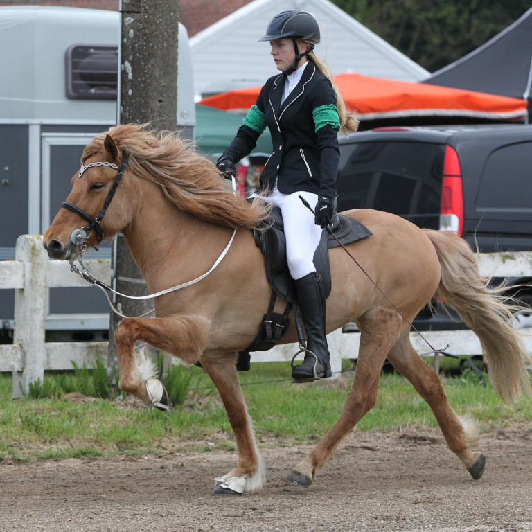 Lara Margrét og Örk frá Hjarðartúni. Mynd úr einkasafni.