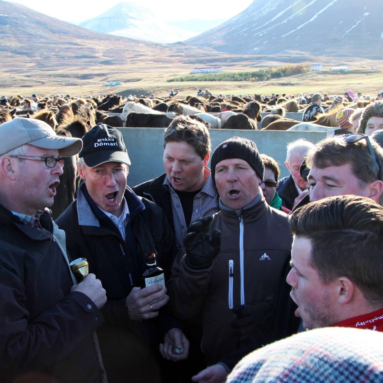 Það er alltaf gaman á Laufskálarétt. Frá réttinni árið 2012. Ljósm./BÞ