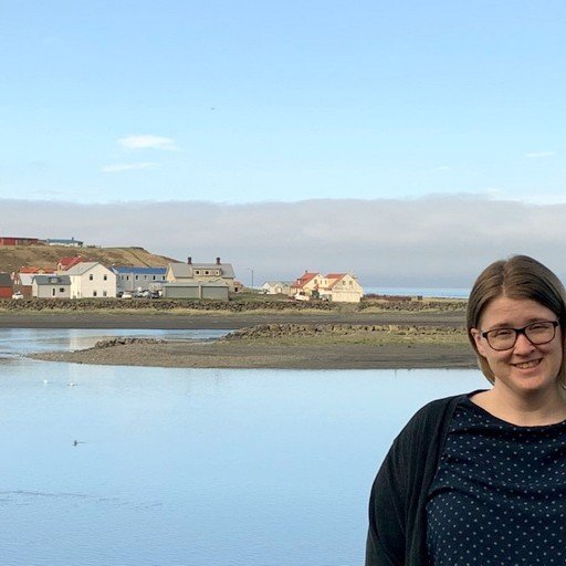 Lee Ann Maginnis, verkefnisstjóri. Aðsend mynd.