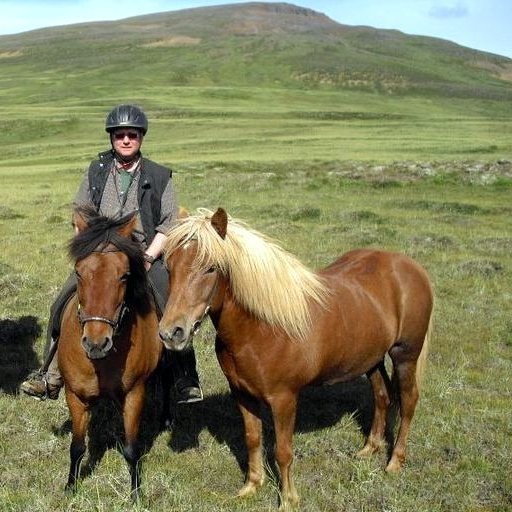 Þungur knapi á þungum hrossum.