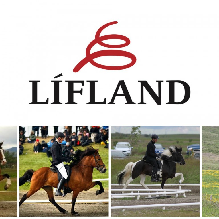 Lið Líflands tekur þátt í KS deildinni í ár.