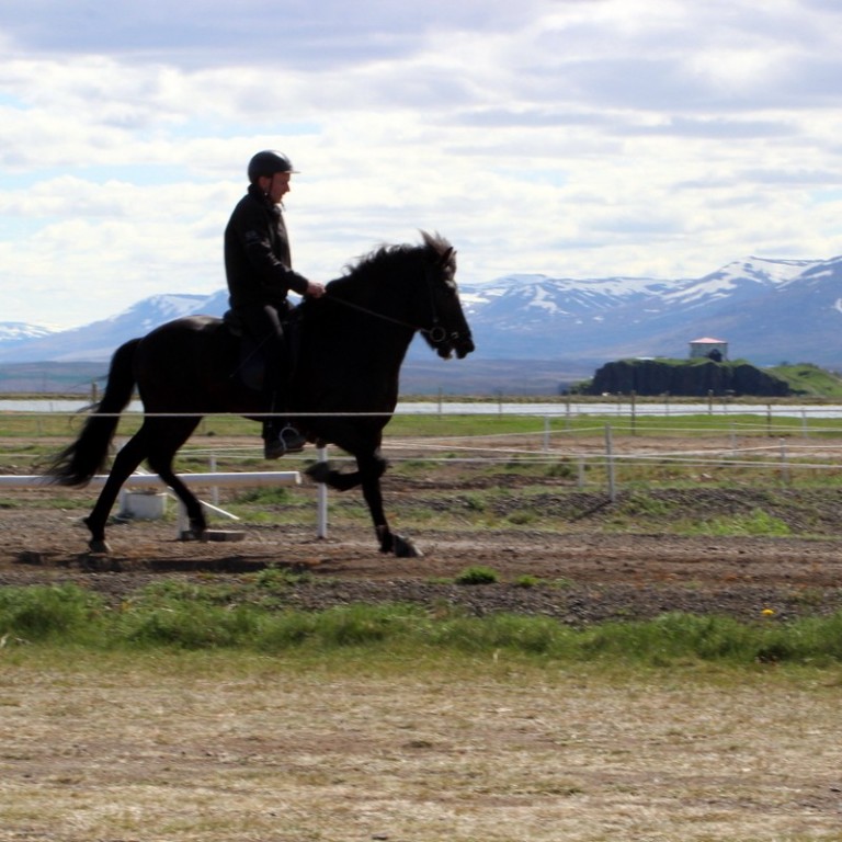 Opið hestaíþróttamót á Sauðárkróki