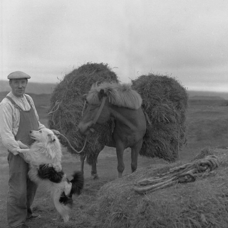 Allir velkomnir sem vilja fræðast um gamlar ljósmyndir