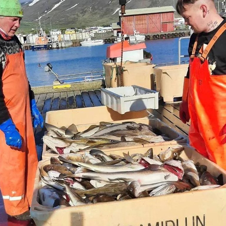 Mynd tekin af Facebook-síðu Skagastrandarhafnar.