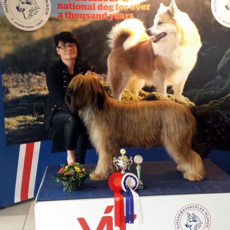 Náði lengst hunda af Briard-kyni í 16 ár