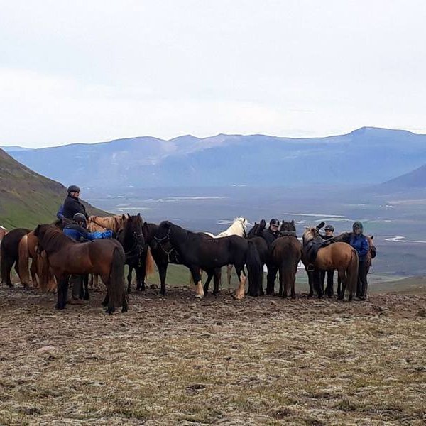 Mynd af Facebooksíðunni Magnus - Dynur og Saga. - Áning. Séð af Vatnsnesi austur Húnaþing. Ásmundarnúpur og Jörundarfell í fjarska.