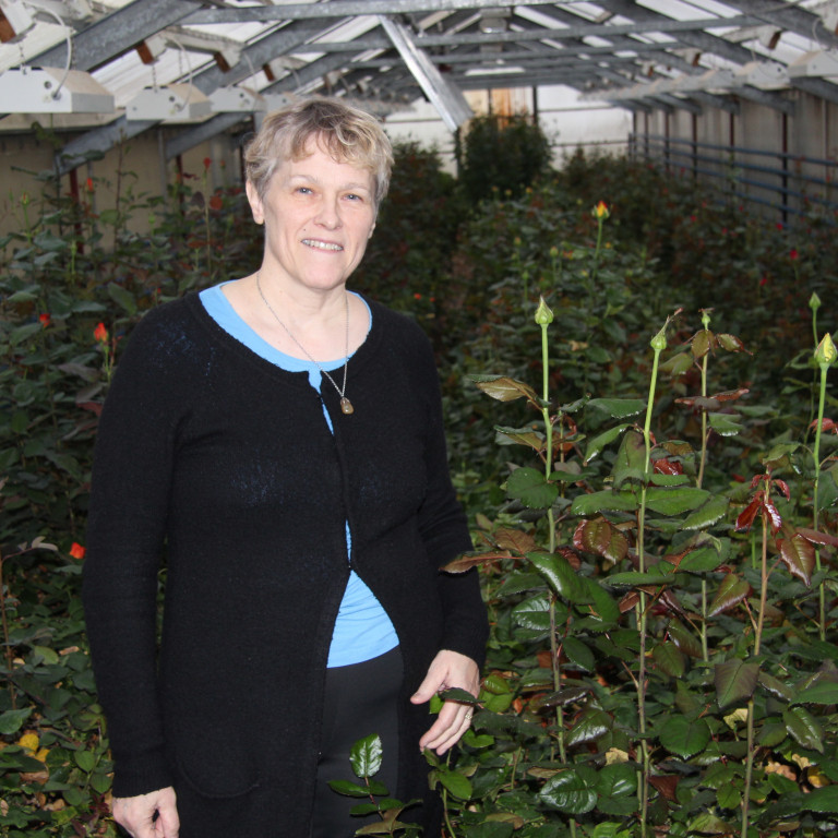 María Reykdal er starfsmaður Krabbameinsfélags Skagafjarðar. Mynd: KSE