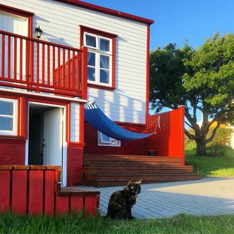 Menningarsetrið Holt á Hvammstanga og kötturinn Skriða. Mynd:Facebooksíðan Holt-menningarsetur -Hvammstanga.