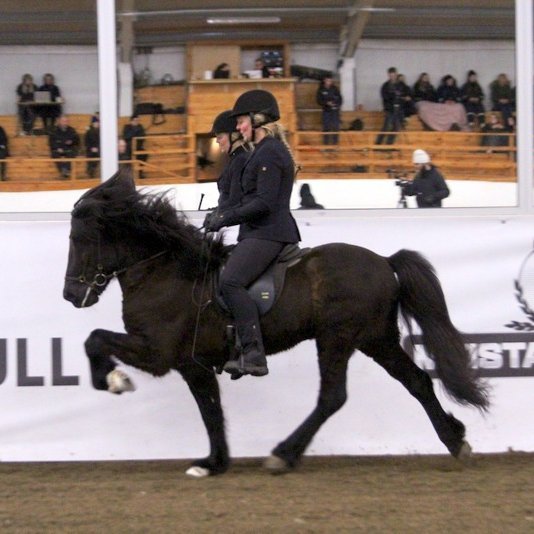Mette Mannseth og Hannibal frá Þúfum, sigurvegarar fjórgangs í Meistaradeild KS í gærkvöldi. Myndir af Facebooksíðu deildarinnar.