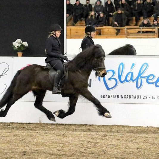 Mette Mannseth og Skálmöld frá Þúfum. Mynd: FB Meistaradeildar KS.