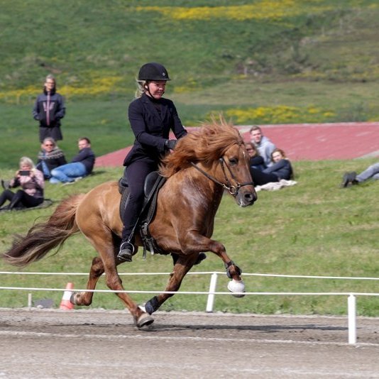 Mette Mannseth og Vívaldi frá Torfunesi. Mynd af FB/Gísli Guðjónsson