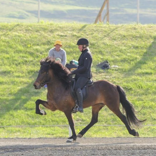 Mette Mannseth og Skálmöld frá Þúfum. Mynd af FB Skagfirðings.