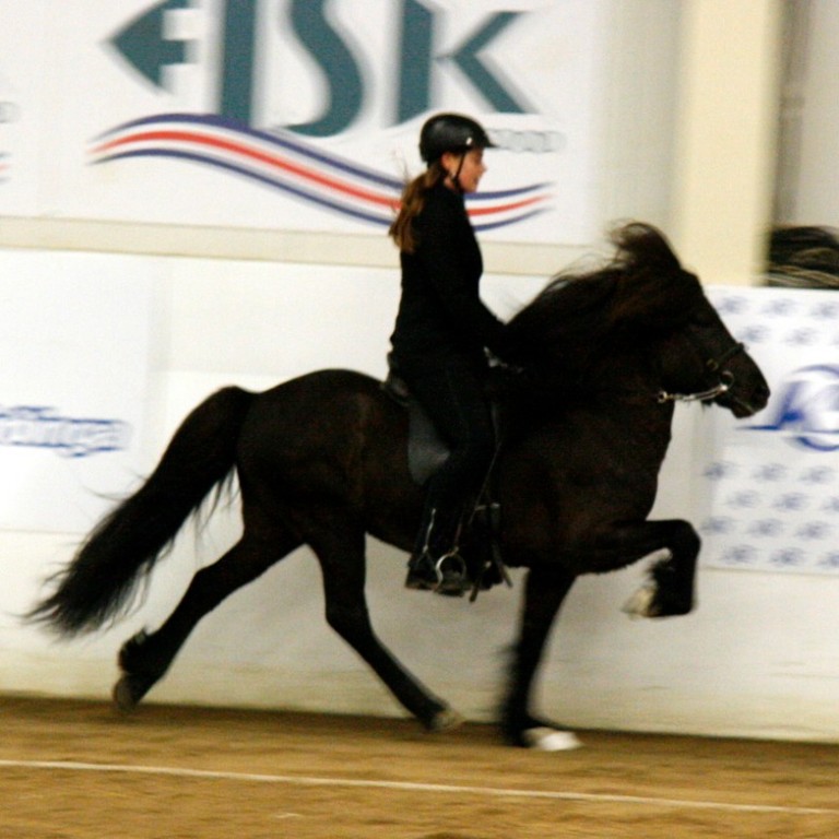 Hestaíþróttir á Norðurlandi sjónvarpaðar á Stöð 2 Sport