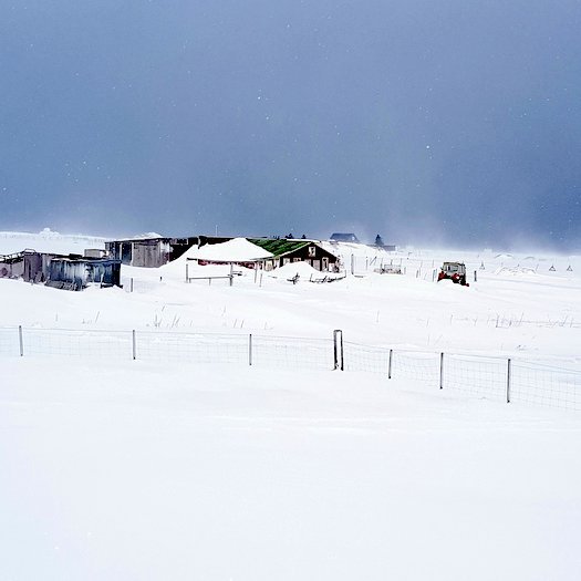 Af Nöfum á Sauðárkróki. Mynd: PF.