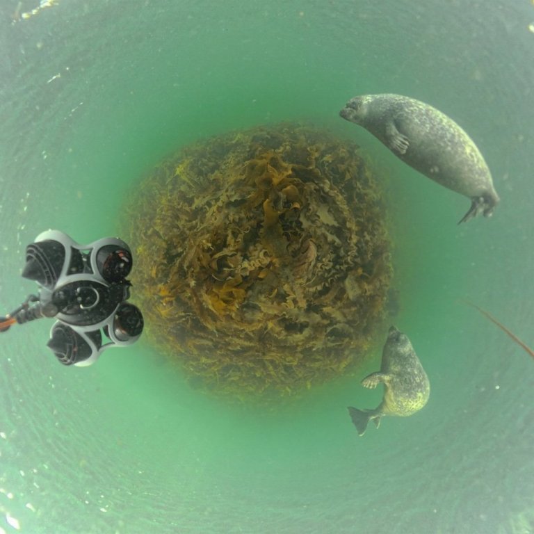 Neðansjávarskjáskot úr sýndarveruleikanum. MYND AÐSEND