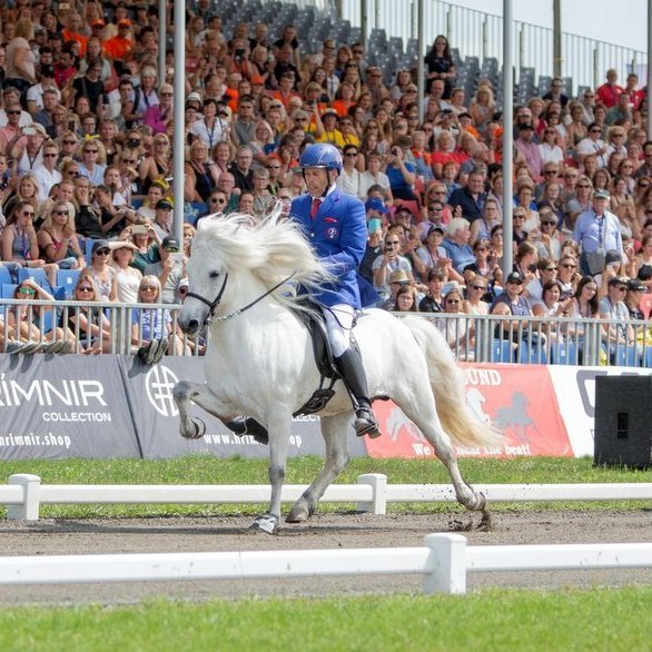 Heimsmeistararnir Jóhann Rúnar Skúlason og Finnbogi frá Minni-Reykjum. Mynd: lhhestar.is