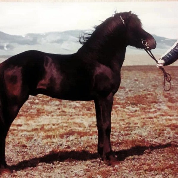 Otur og Eiríkur Guðmundsson. Mynd af Facebook.