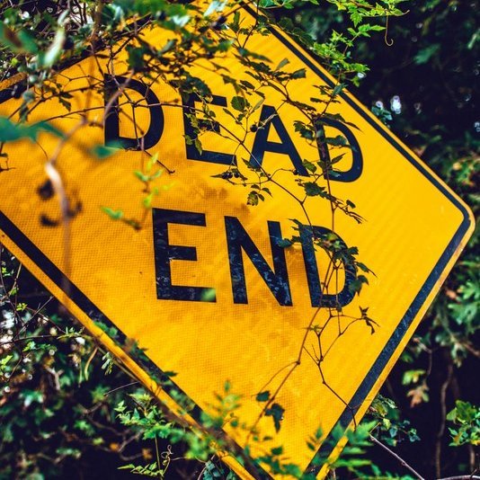 Mynd: Pexels.com/Dustin Tray.