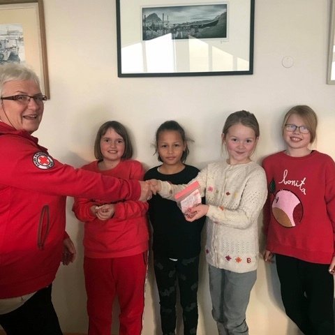 Þessar duglegu stelpur í Húnaþingi vestra styrktu Rauða krossinn með steinasölu. Aðsend mynd.