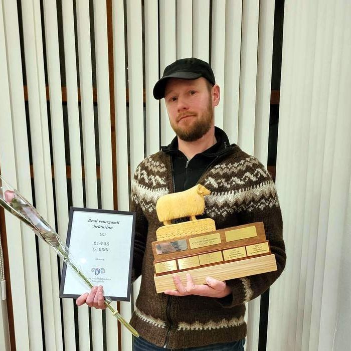 Besta veturgamla hrútinn á síðasta ári, Stein frá Grindum, á Rúnar Páll Hreinsson. Aðsendar myndir.