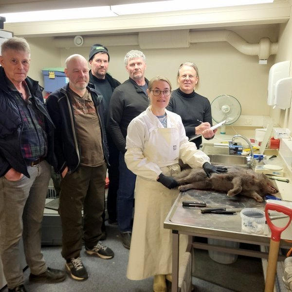 Skytturnar Steinþór Tryggvason, Kári Gunnarsson, umhverfis- og landbúnaðarfulltrúi, Stefán Sigurðsson og Birgir Hauksson ásamt Starra Heiðmarssyni, forstöðumanni Náttúrustofu Norðurlands vestra og Ester Rut Unnsteinsdóttur spendýravistfræðingi hjá NÍ. Myndir PF.