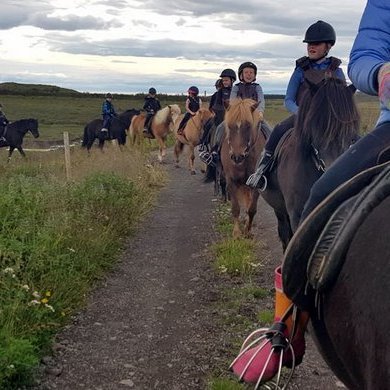 Aldeilis föngulegur hópur á reiðnámskeiði á Skagaströnd í síðustu viku. Mynd af BF Reiðskóla Eðalhesta.