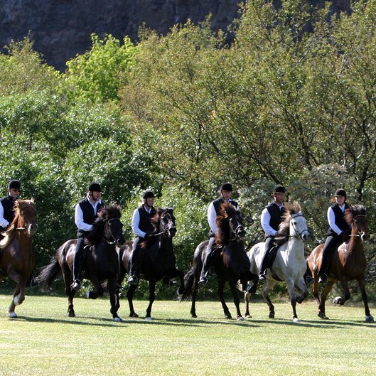 Frá reiðsýningu í Ásbyrgi, 14. ágúst 2004. Riðin breiðfylking um þveran völl. Knapar og hestar frá vinstri eru: Kristinn Hugason á Boðna frá Ytra-Dalsgerði, Sigurbjörn Bárðarson á Sörla frá Dalbæ II, Elsa Albertsdóttir á Gusti frá Syðra-Vallholti, Árni Björn Pálsson á Eyva frá Hamrahlíð, Erlingur Ingvarsson á Ísidór frá Árgerði og Silvía Sigurbjörnsdóttir á Kára frá Búlandi. Ljm: Axel Jón Fjeldsted.