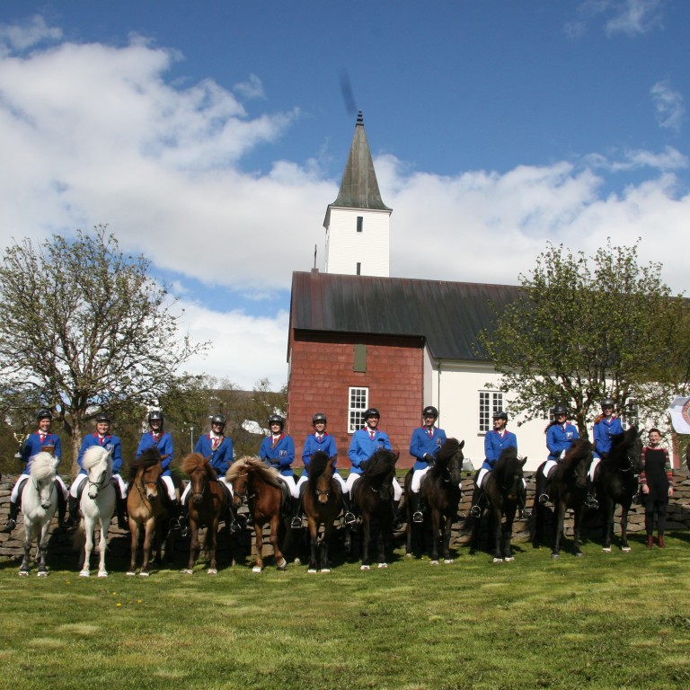 Vel heppnuð reiðsýning