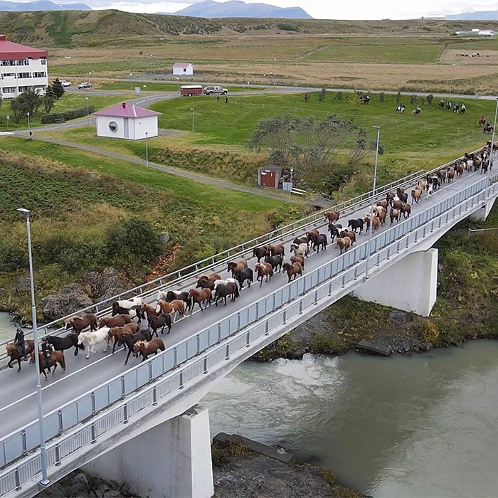 Skjáskot úr myndbandi á Facebooksíðu Róberts Daníels. MYNDIR: RÓBERT DANÍEL JÓNSSON