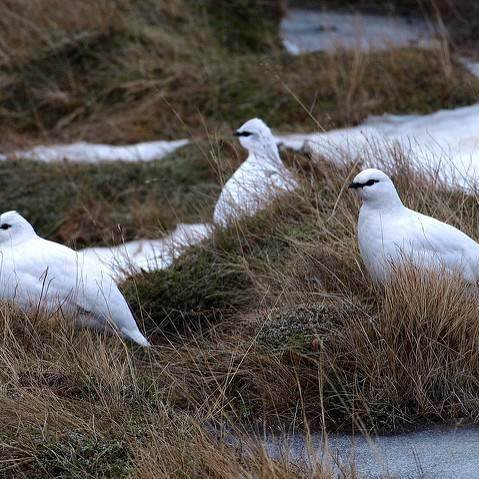 Mynd af vef stjórnarráðsins/Hugi Ólafsson.