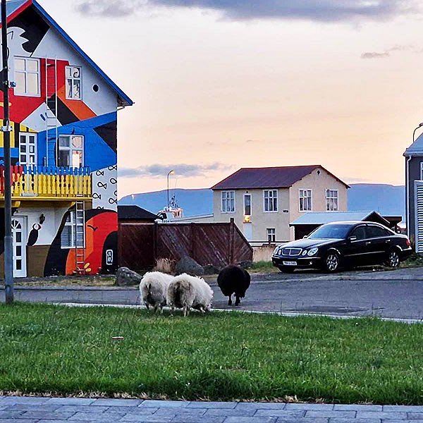 Næsti viðkomustaður hefur sjálfsagt verið sjálfuhúsið eða gamla Rússland. MYND: SG
