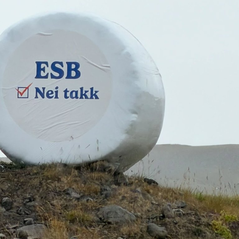 Nei rúllur hafa verið áberandi í sumar. Mynd: Erla Jónsdóttir.