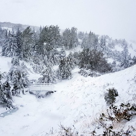 Svona var umhorfs í Litla-skógi um hálffjögurleytið í dag en þá var ekki enn búið að greina hvar hin meinta krapastífla gæti verið staðsett. Mynd: PF.
