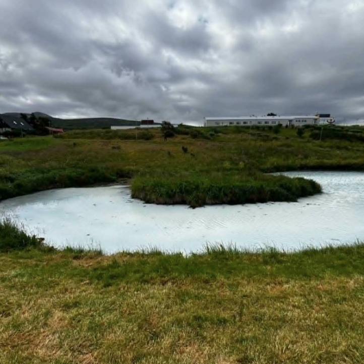 MYND AF HEIMASÍÐU SKAGAFJARÐAR