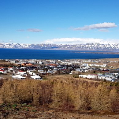 Sauðárkrókur. Mynd:PF