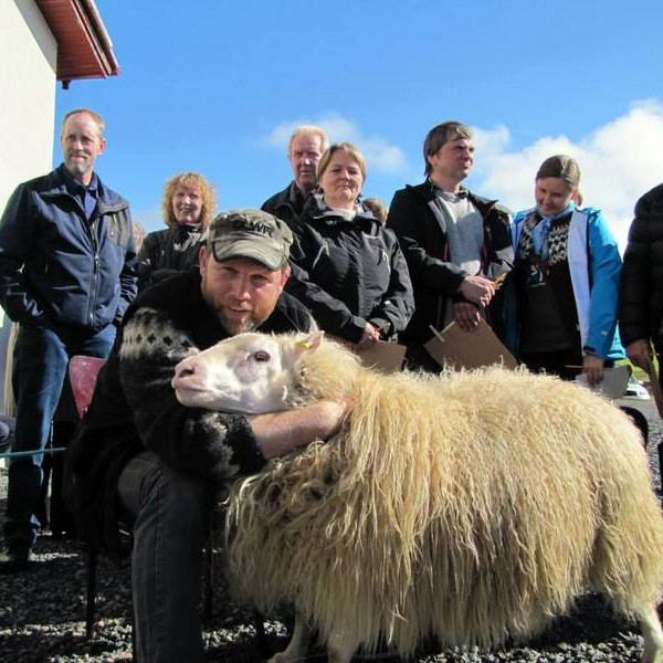 Það vantar ekki fallegt sauðfé á Ströndum : Aðsend mynd.