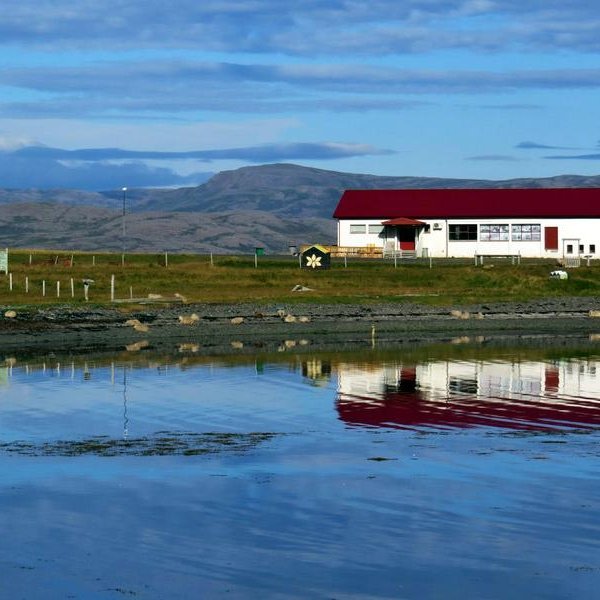 Góð aðsókn að Sauðfjársetrinu í sumar :: Íslandsmót í hrútadómum haldið 21. ágúst