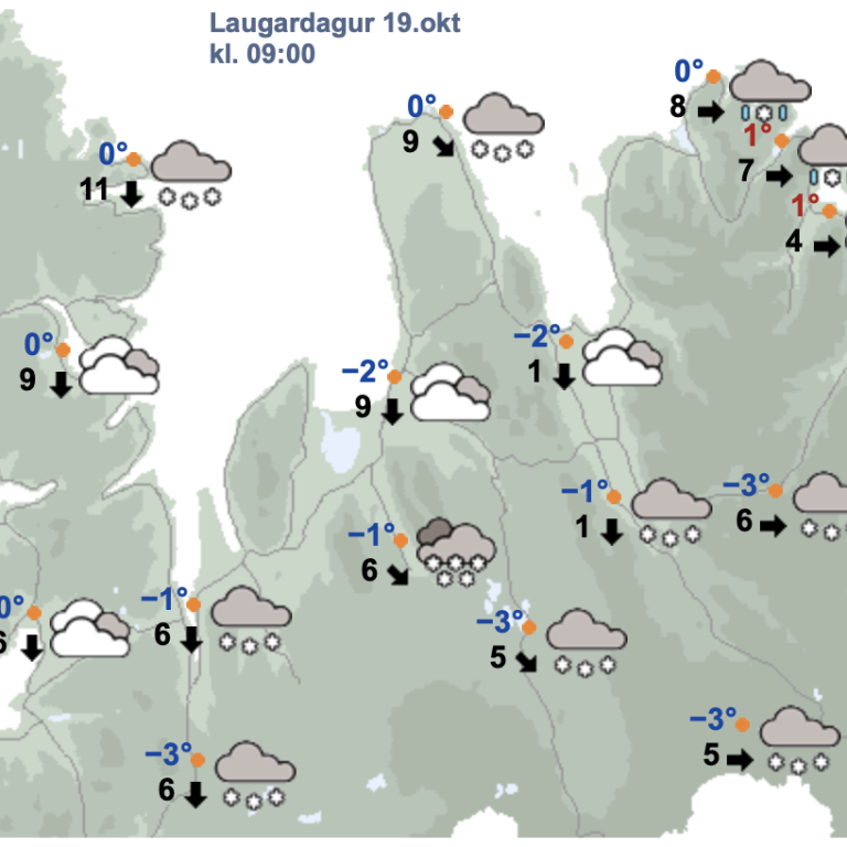 Skjáskot af vedur.is