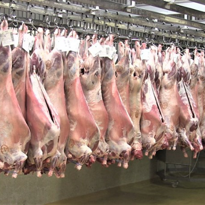 Mynd af síðu SAFL.