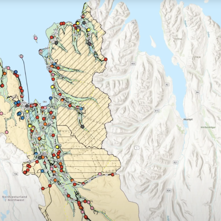 Skjáskot úr myndbandi.