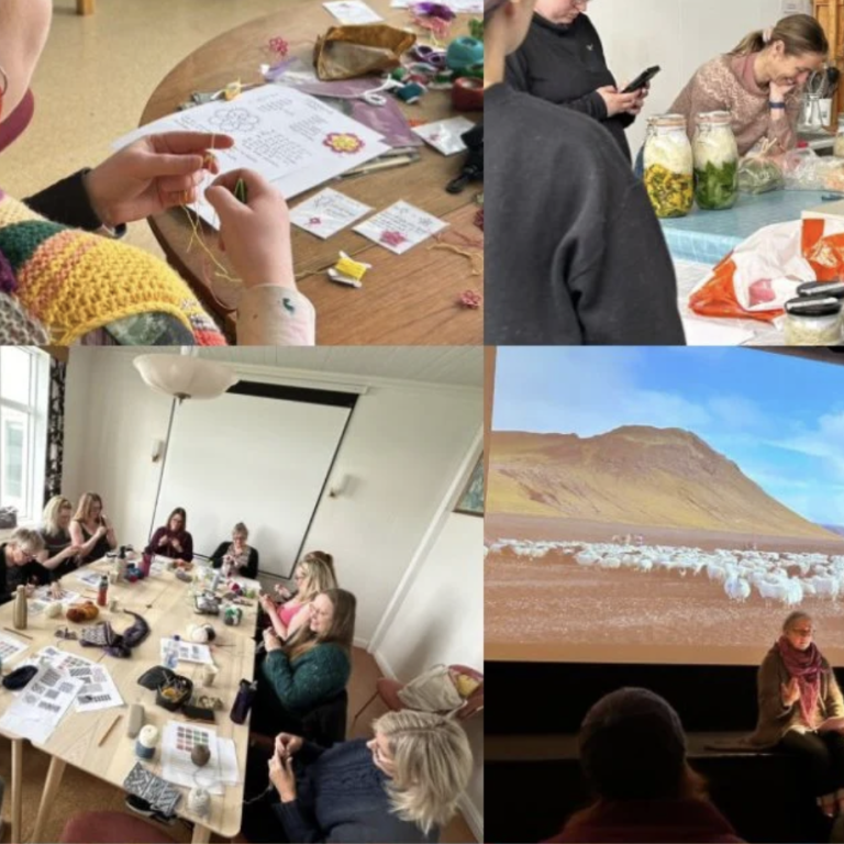 MYND PRJÓNAGLEÐI.IS