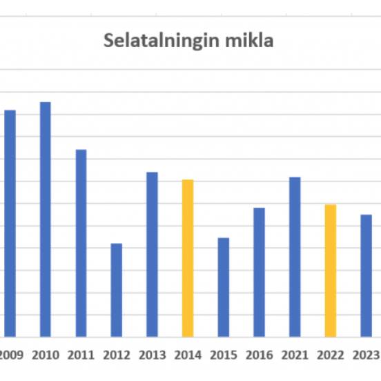 Súluritið er útskýrt í fréttinni. MYND FRÁ SELASETRI ÍSLANDS