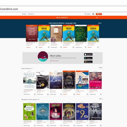 Skjámynd af forsíðu Rafbókasafnsins.