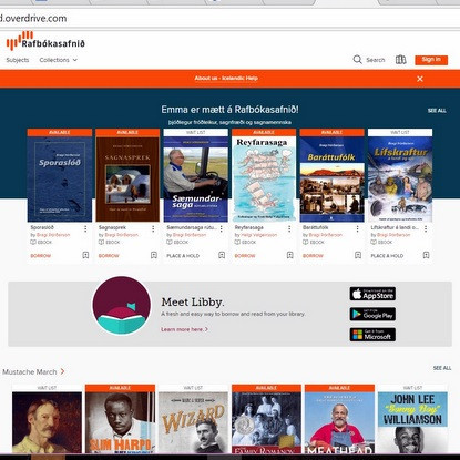 Skjámynd af forsíðu Rafbókasafnsins.