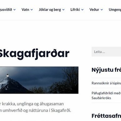 Skjáskot af forsíðu vefsins.