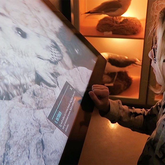 Frá Selasetri Íslands. SKJÁSKOT